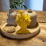 Villa Serenusgreece Sani House With Garden And Jacuzzi