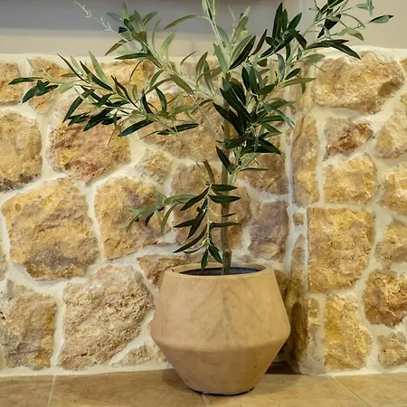 Serenusgreece Sani House With Garden And Jacuzzi Villa